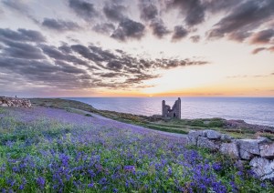 Professional photographic landscape photograph of Cornish scenery taken by a professional photographer near Penzance