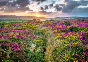 Professional photographic landscape photograph of Cornish scenery taken by a professional photographer near Penzance