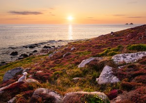 Professional photographic landscape photograph of Cornish scenery taken by a professional photographer near Penzance